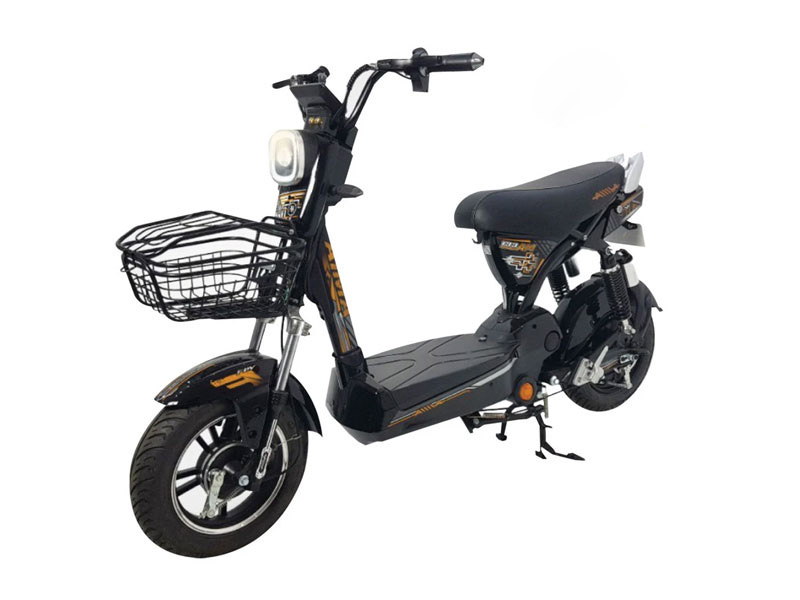 xe đạp điện trung quốc