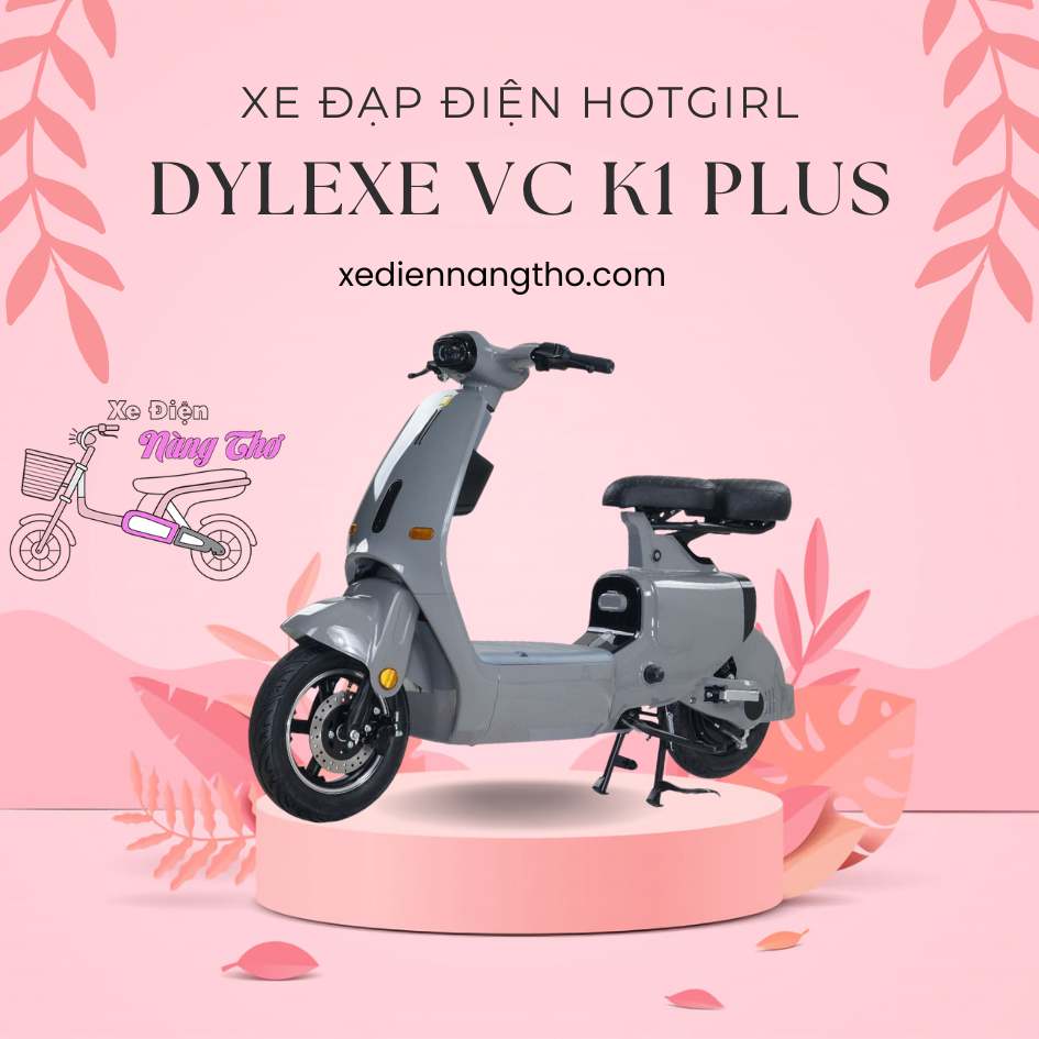 Xe đạp điện Hogirl Dylexe VC K1