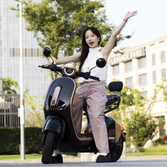 Xe đạp điện màu đen cho người đi làm