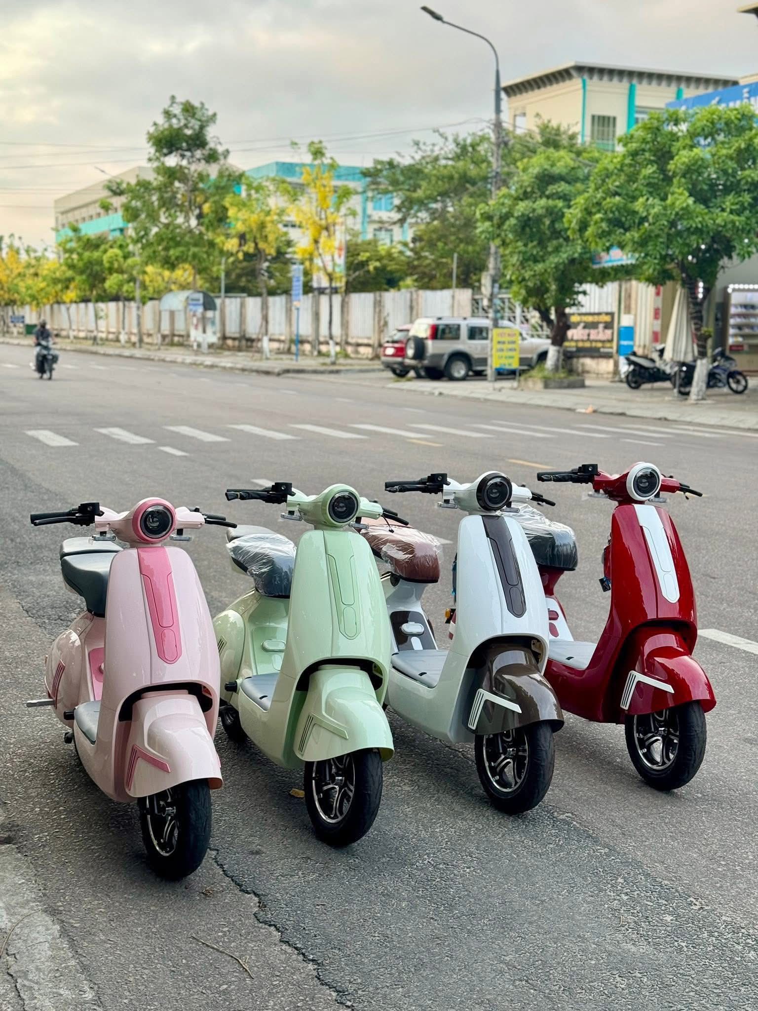 Xe đạp điện trendy