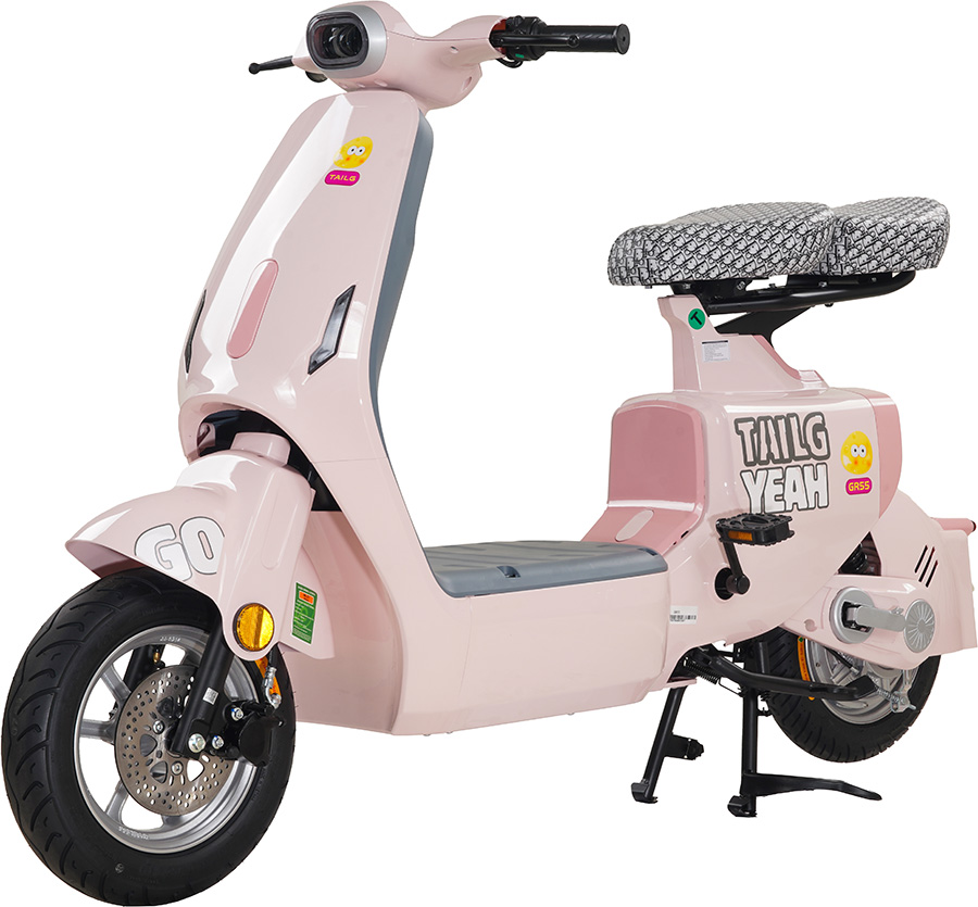 Xe Đạp Điện VC Tailg GR55 Giá 12.300.000đ
