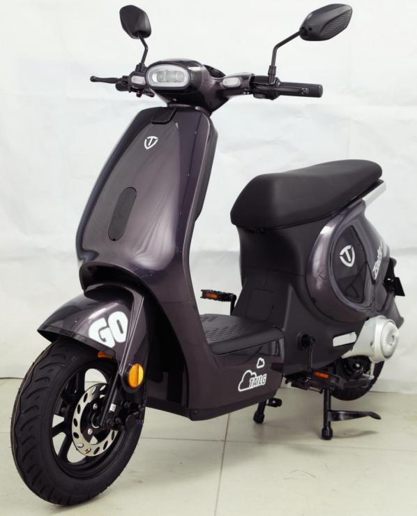 Xe đạp điện Tailg GR56