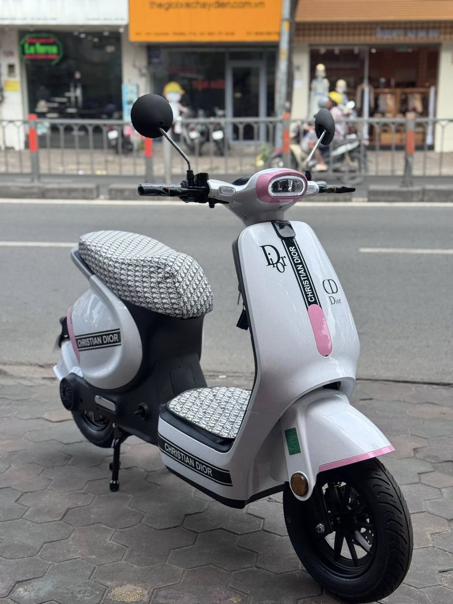 Xe đạp điện Takumi VC3 Decor dior siêu đẹp