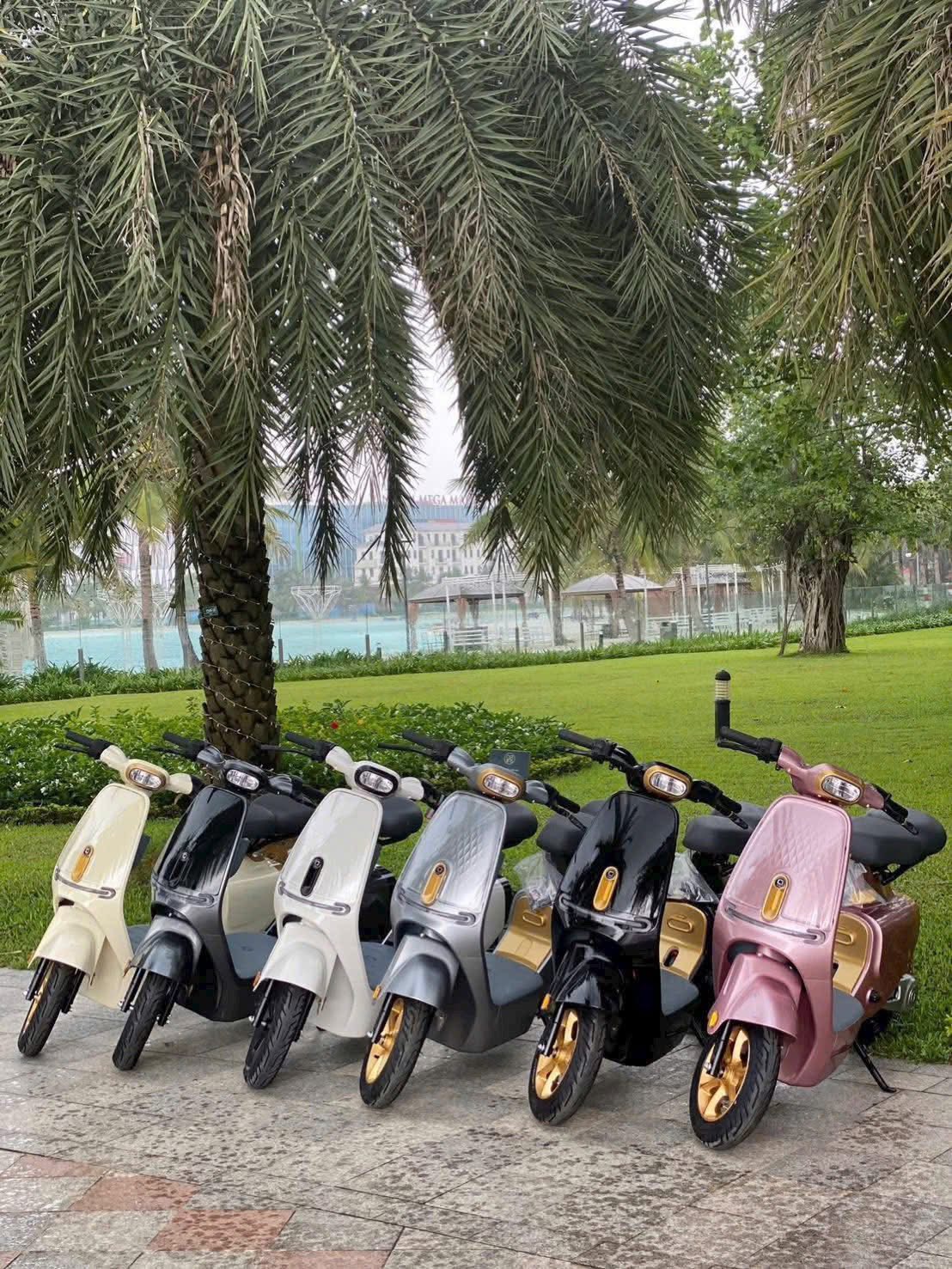 Xu hướng di chuyển tương lai - Xe đạp điện thời trang