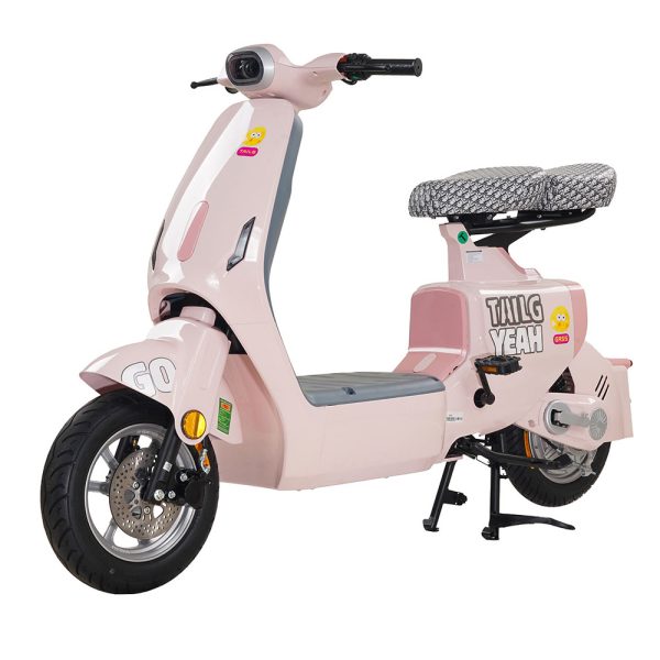 Xe Đạp Điện Tailg GR55