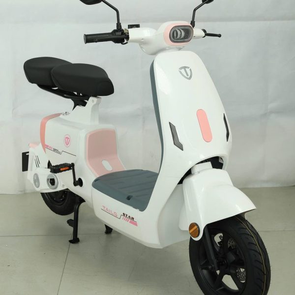 Xe đạp điện Tailg GR55 - Xe Điện Nàng Thơ
