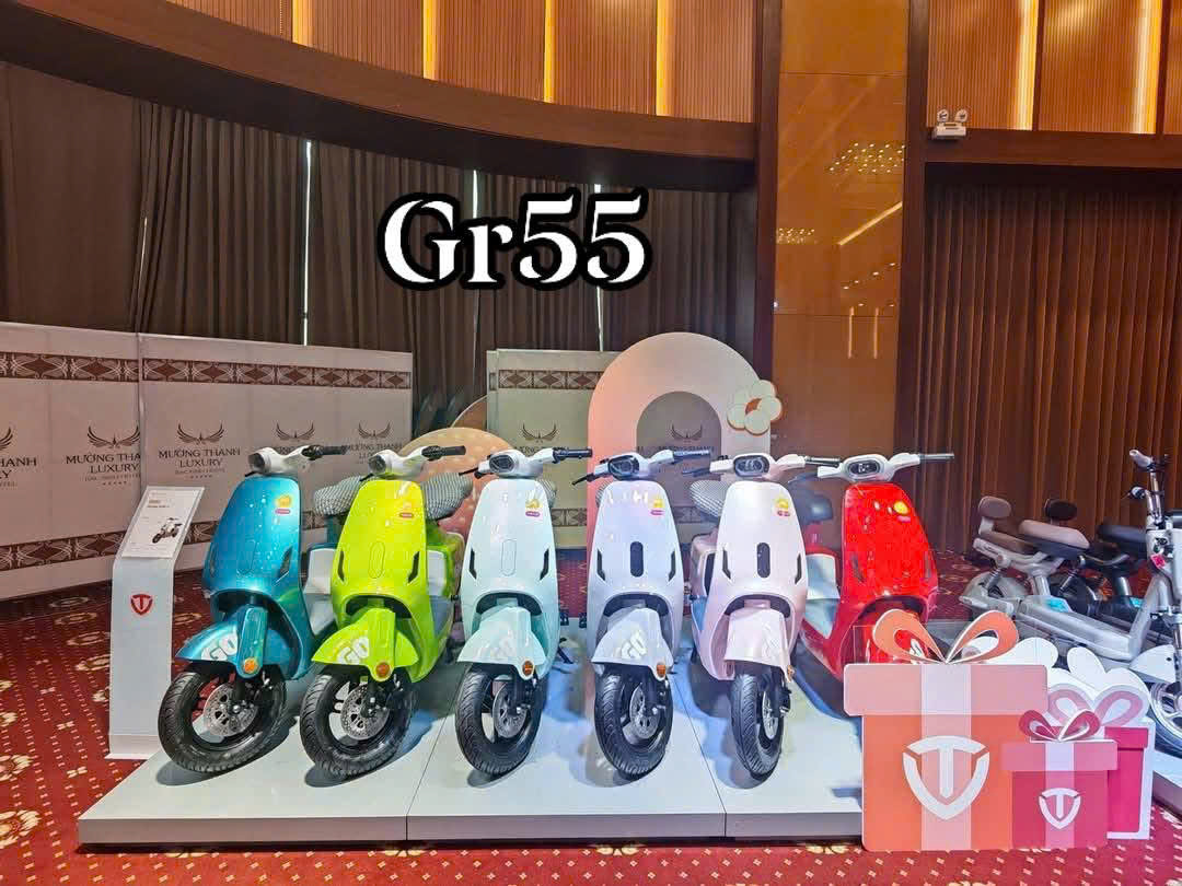 Tailg GR55 - Xe Điện Nàng Thơ