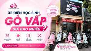 Xe Điện Học Sinh Gò Vấp Giá Bao Nhiêu