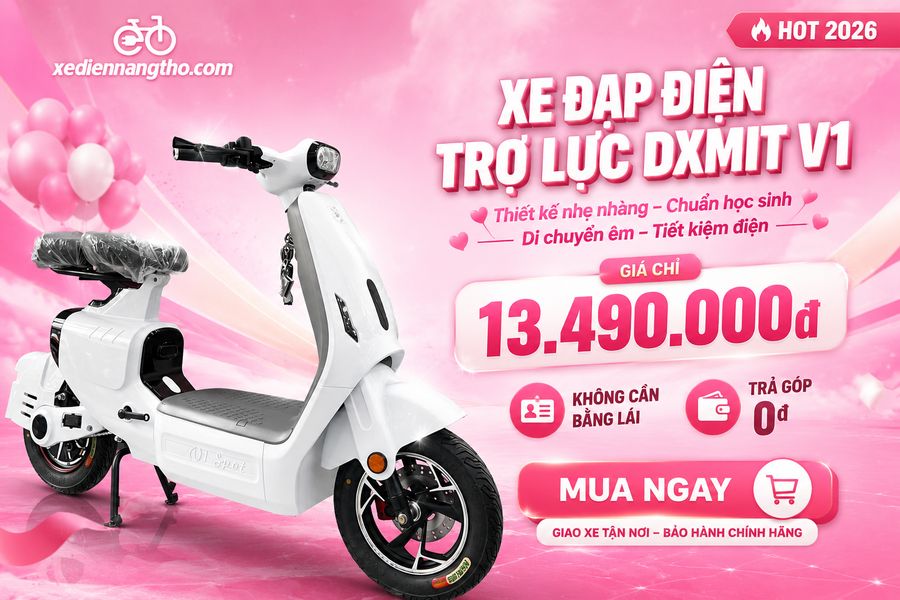 Giá Xe đạp điện trợ lực Dxmit V1