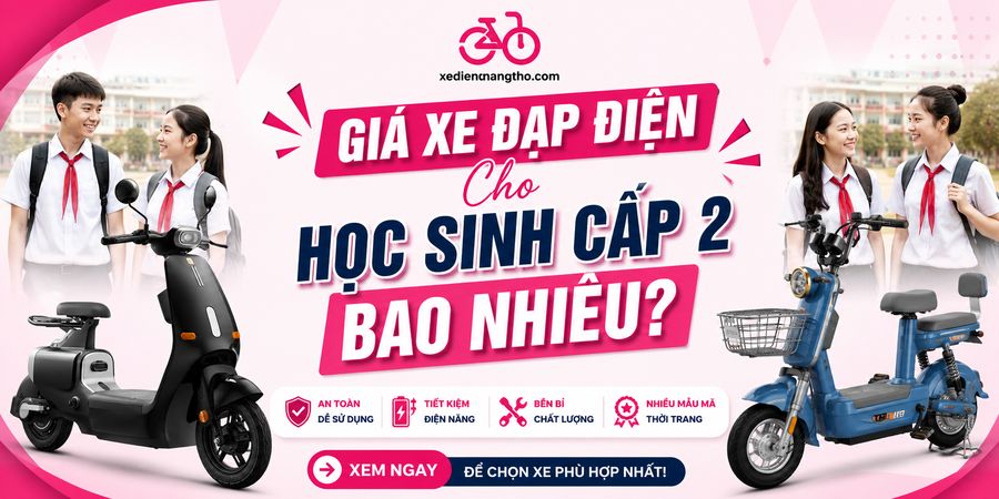 Giá Xe Đạp Điện Cho Học Sinh Cấp 2 Bao Nhiêu