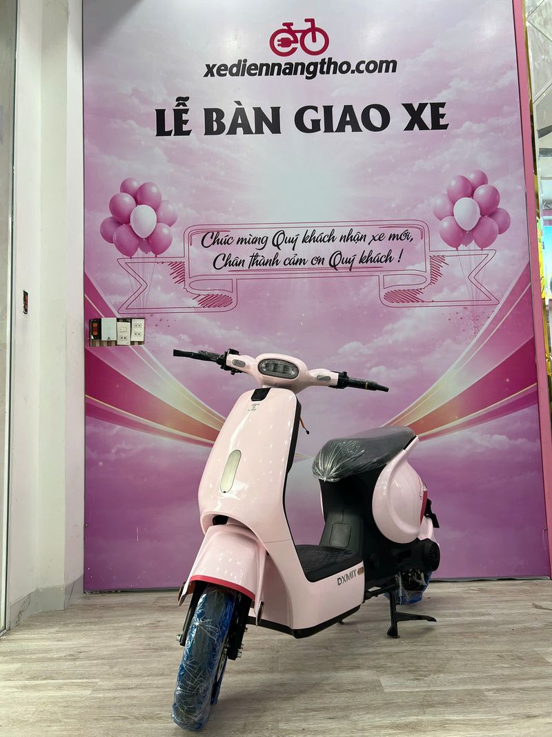 Giá Xe đạp điện dxmit m1 pro