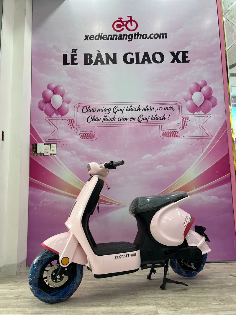 Xe đạp điện dxmit m1 pro
