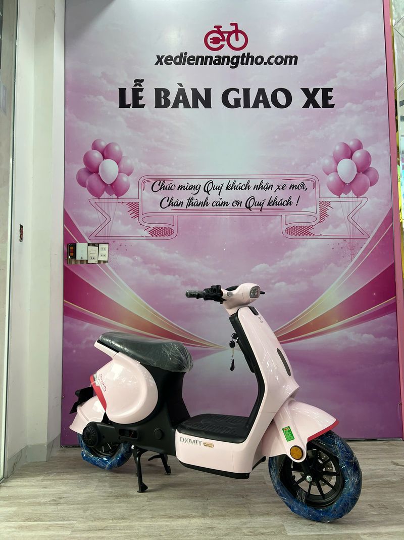 Xe đạp điện dxmit m1 pro