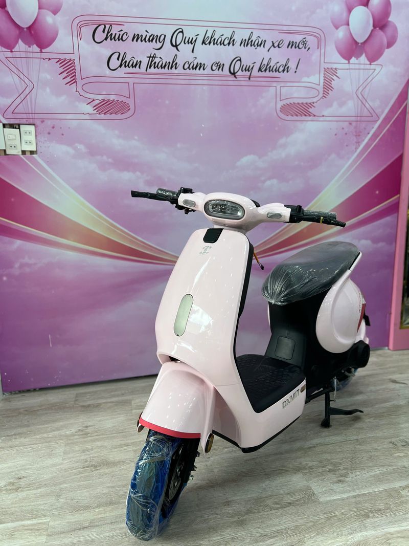 Xe đạp điện dxmit m1 pro