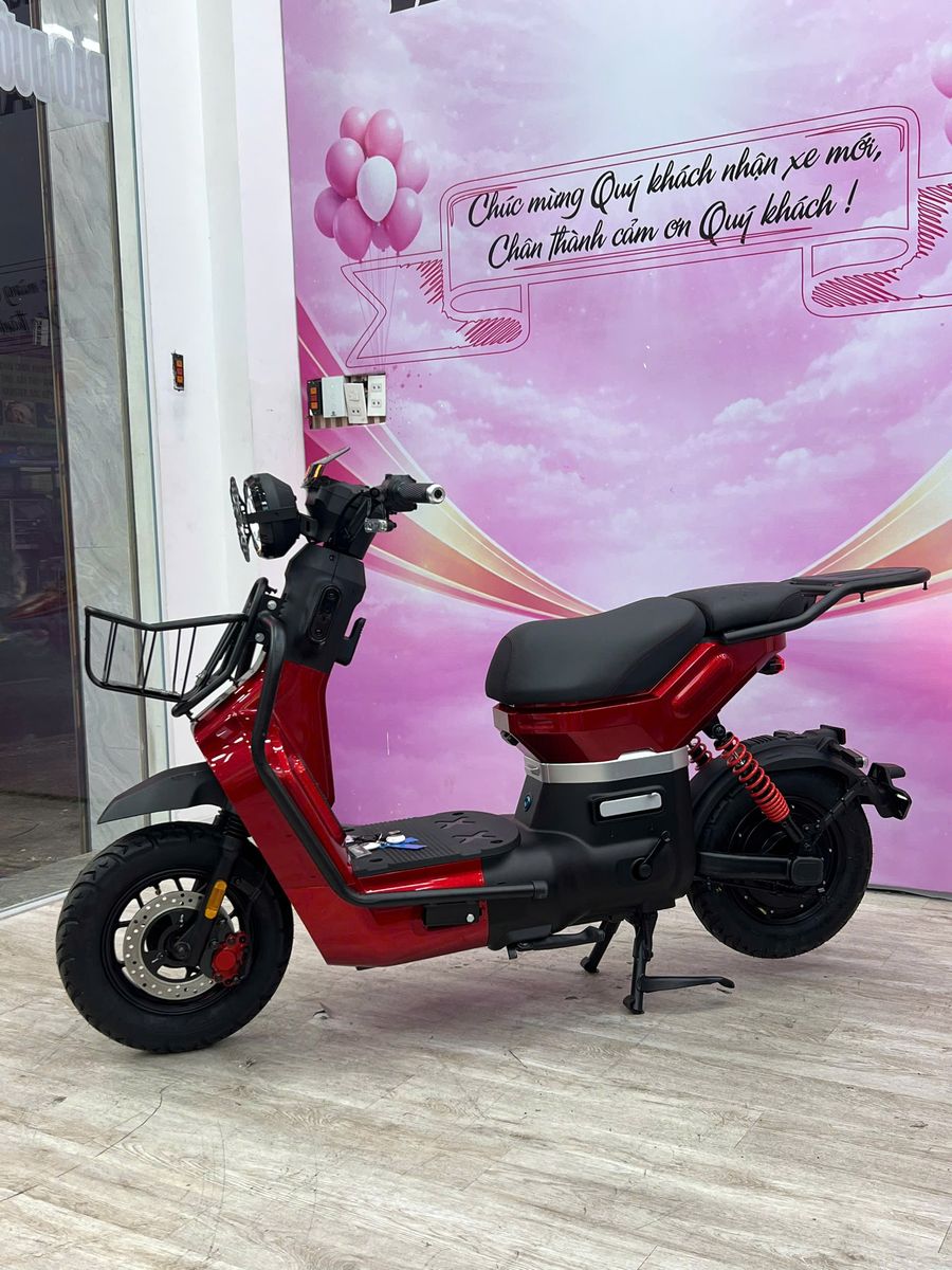 Xe đạp điện Type 3 Pro