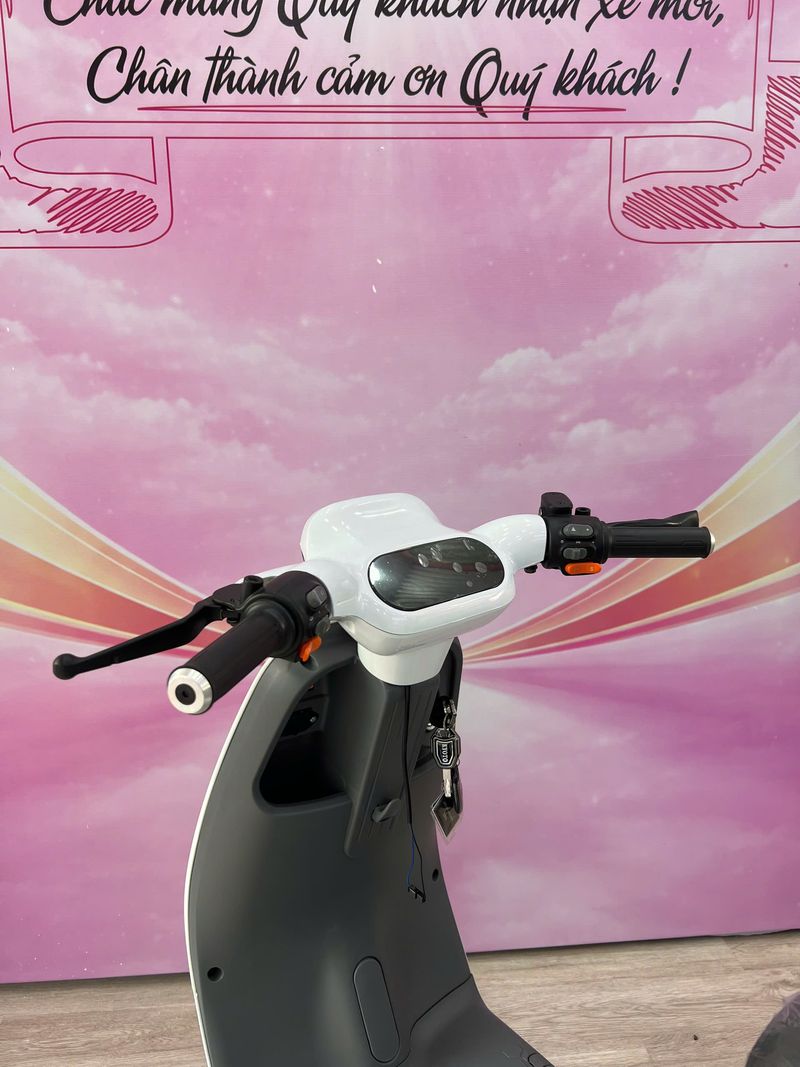 xe đạp điện trợ lực dxmit v1