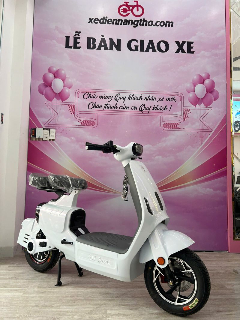 xe đạp điện trợ lực dxmit v1