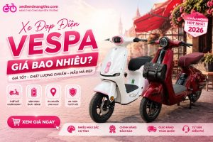 Xe Đạp Điện Vespa Giá Bao Nhiêu