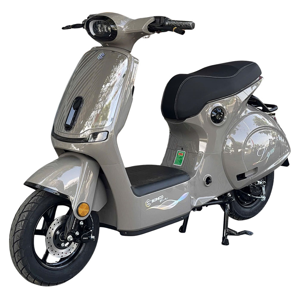 xe đạp điện động cơ 1000W