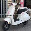 Xe đạp điện nào bền nhất hiện nay
