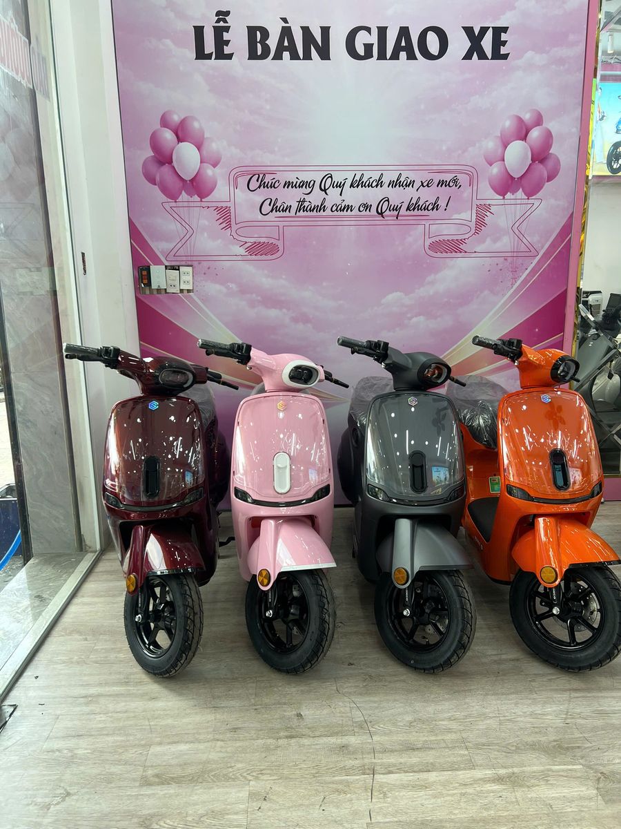 Xe đạp điện Sonco