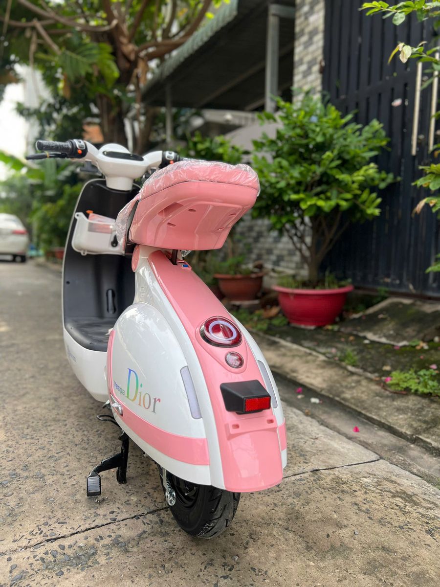 Xe đạp điện Sonco V3 946