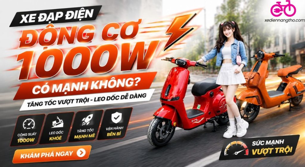 xe đạp điện động cơ 1000W