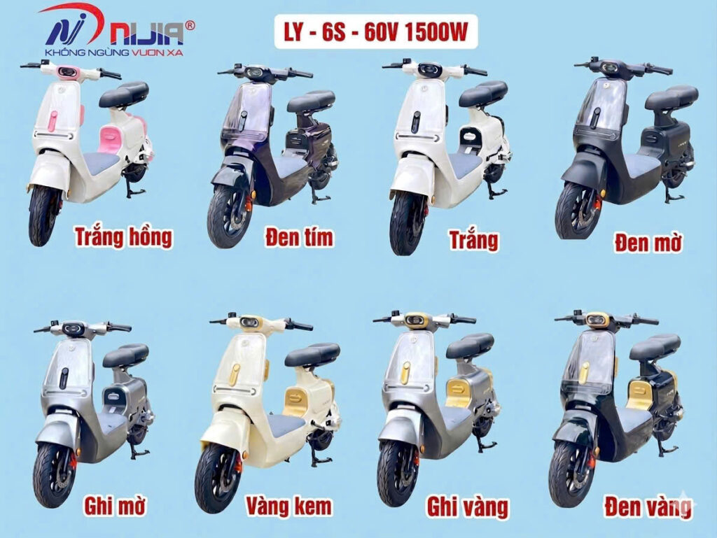 Xe đạp điện Nijia Luyuan Ly-6S