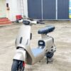 Xe Đạp Điện Nijia Luyuan Ly-1S