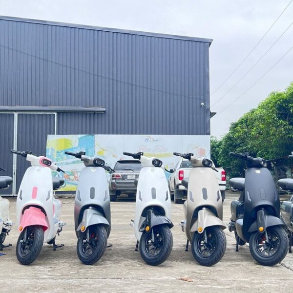 Xe Đạp Điện Nijia Luyuan Ly-1S