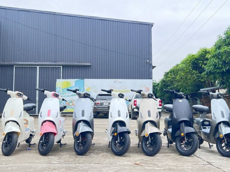xe đạp điện giá rẻ