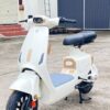 Xe Đạp Điện Nijia Luyuan Ly-1S