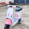 Xe Đạp Điện Nijia Luyuan Ly-1S