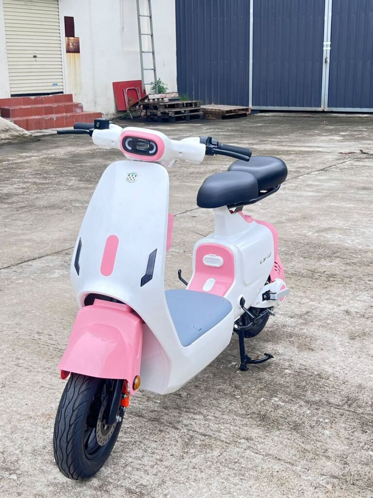 xe đạp điện cao cấp