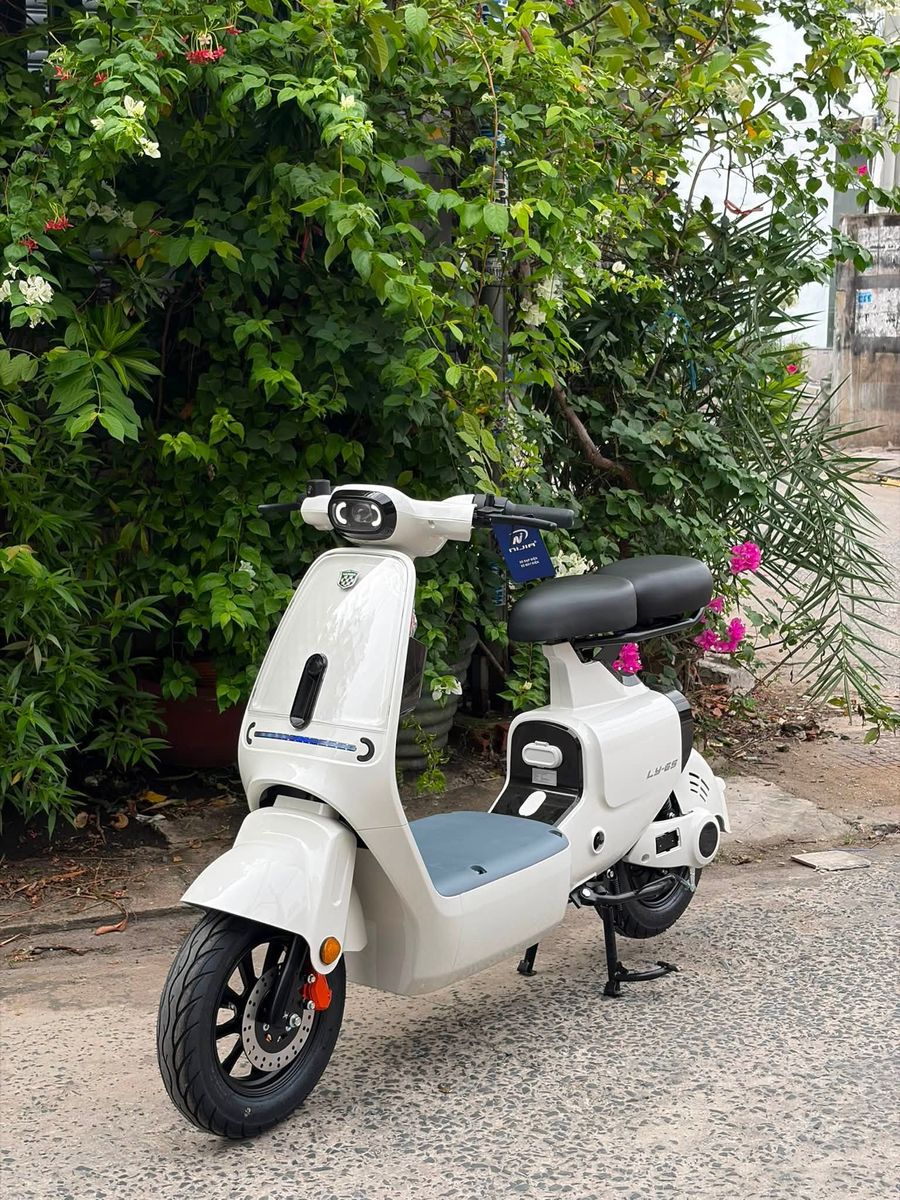 Xe đạp điện Nijia Luyuan Ly-6S