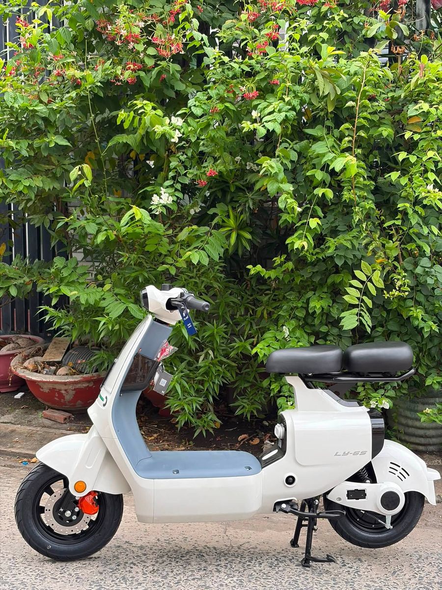 Xe đạp điện Nijia Luyuan Ly-6S