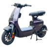 Xe Đạp Điện Nijia Luyuan Ly-6S | Xe Điện Nàng Thơ