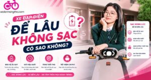 Xe Đạp Điện Để Lâu Không Sạc Có Sao Không?