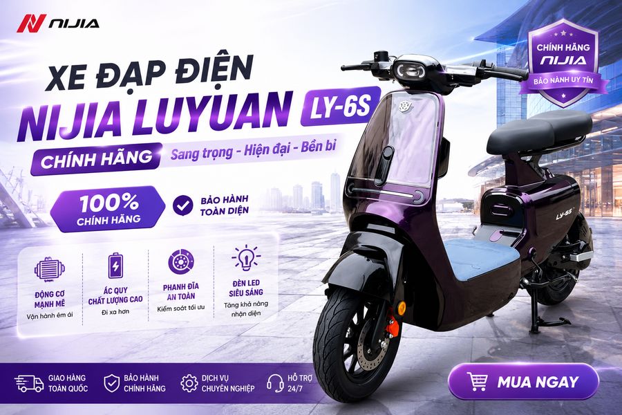 Xe đạp điện Nijia Luyuan Ly-6S