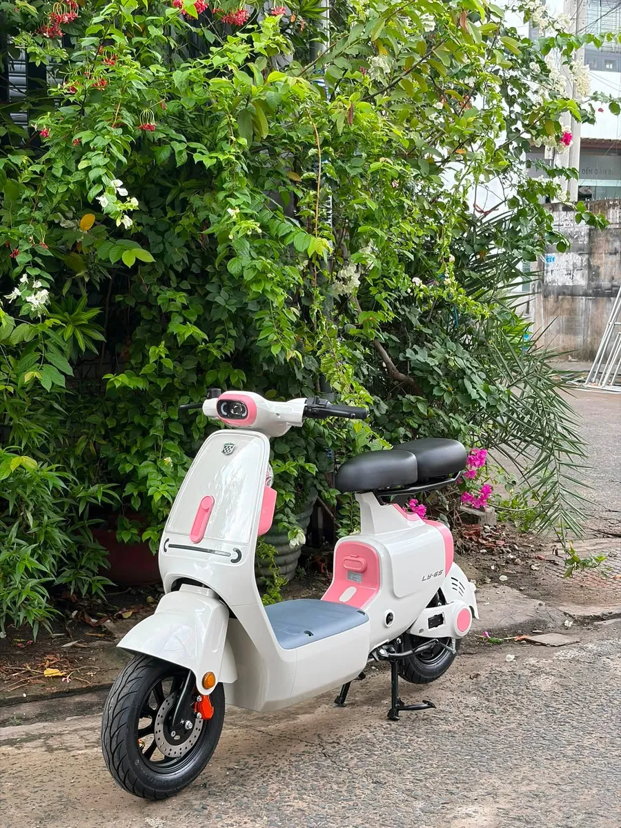 Xe đạp điện nữ giá rẻ tphcm