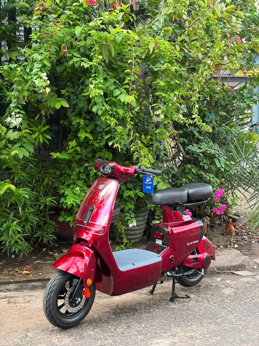 Top xe đạp điện động cơ mạnh nhất