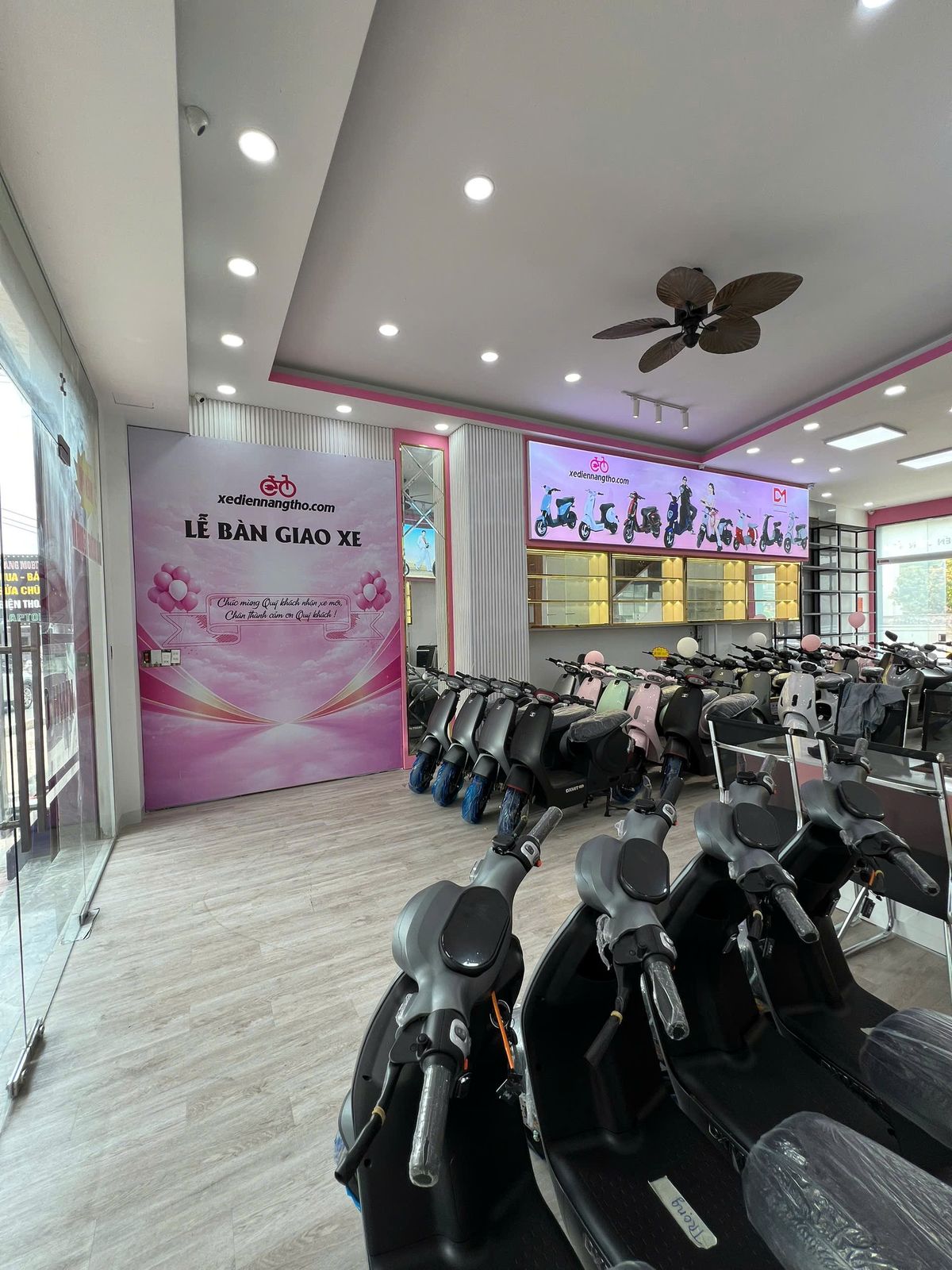 Xe Điện Nàng Thơ TPHCM