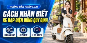 Cách Nhận Biết Xe Đạp Điện Đúng Quy Định