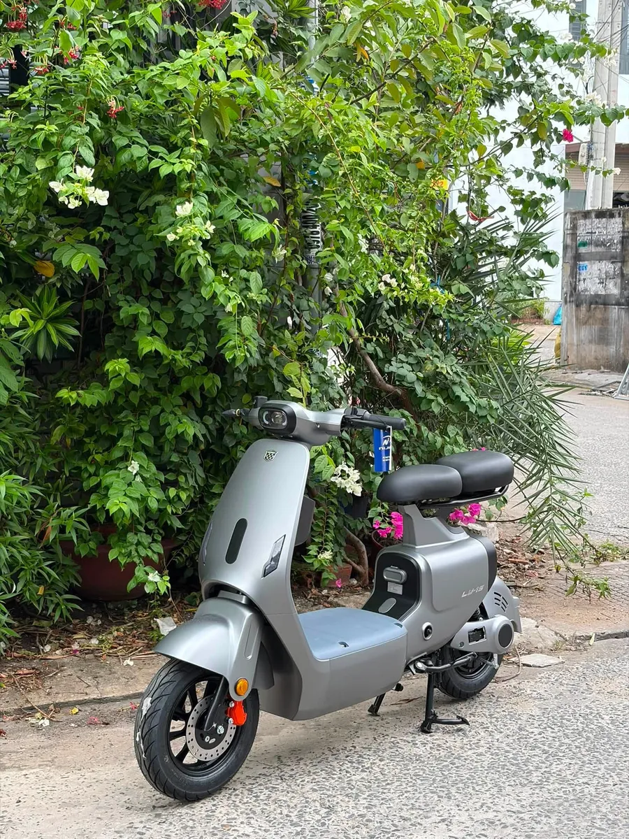 Xe đạp điện dưới 15 triệu tphcm