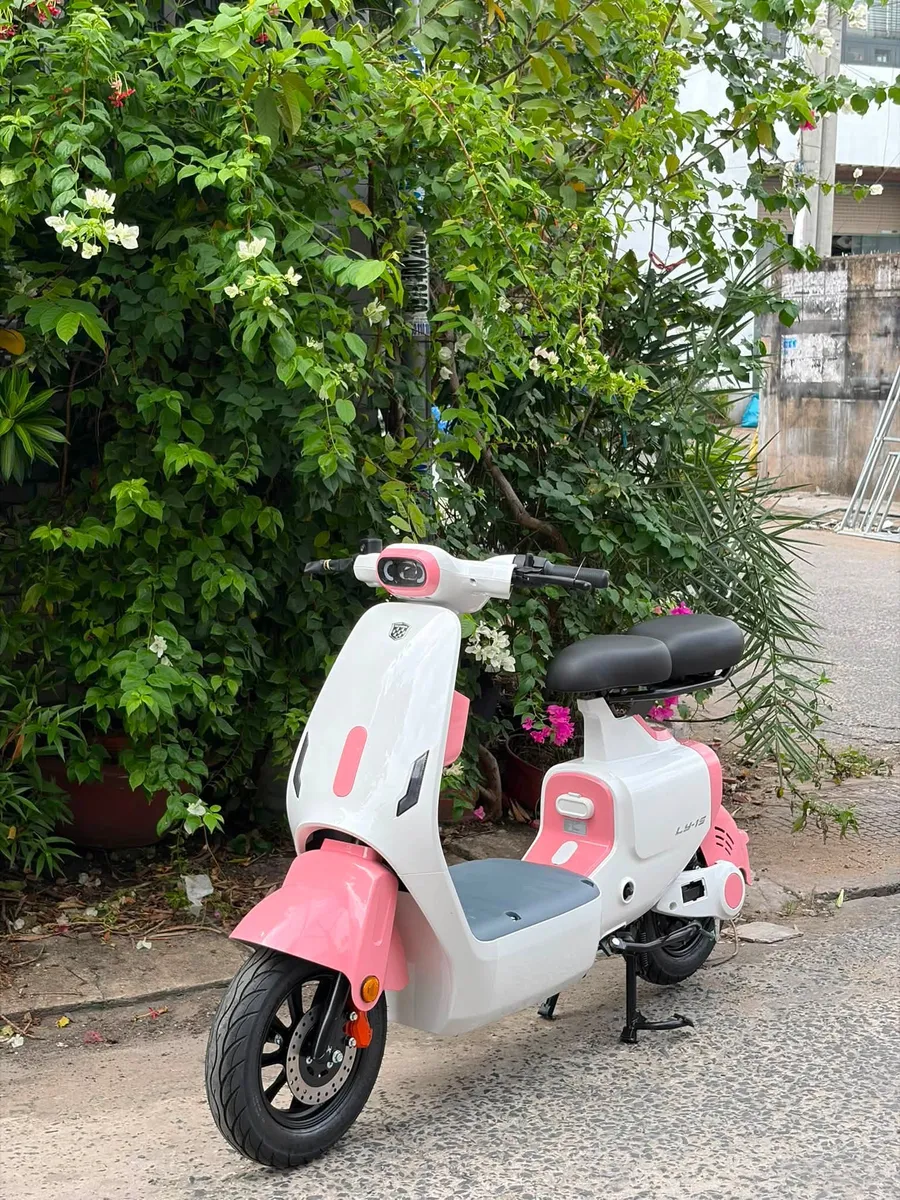 Nijia Luyuan LY-1S TPHCM