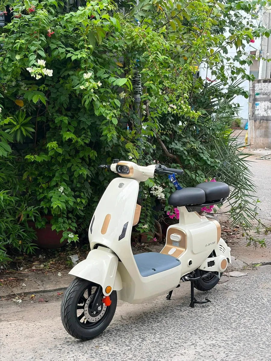 Nijia Luyuan LY-1S TPHCM