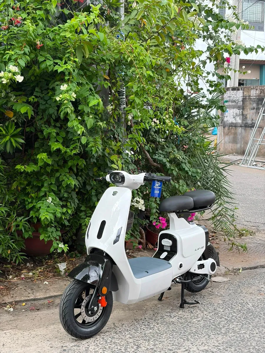Nijia Luyuan LY-1S TPHCM